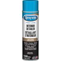 Nettoyant esth&eacute;tique automobile Pro Line avec fini mat & parfum frais Groupe Belzile Dickner
