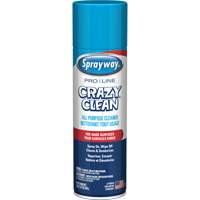 Nettoyant tout usage Pro Line Crazy Clean, 19 oz., Canette a&eacute;rosol Groupe Belzile Dickner