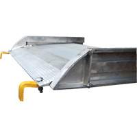 Rampe de promenade en aluminium, Capacité de 1000 lb, 38" la x 193-1/8" lo KI260 | Dickner Inc