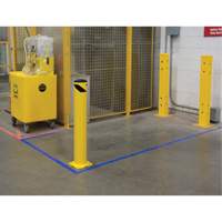 Safety Bollard, Steel, 36" H x 5-1/2" W, Yellow Groupe Belzile Dickner
