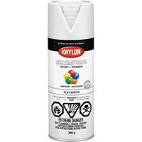 Appr&ecirc;t + peinture COLORmaxx, Blanc, Tr&egrave;s mat, 12 oz, Canette a&eacute;rosol Groupe Belzile Dickner