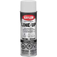 Professional Solvent-Based Marking Paint, White, 18 oz., Aerosol Can Groupe Belzile Dickner