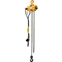 Budgit&reg; Air Chain Hoists Groupe Belzile Dickner