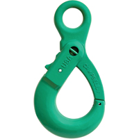 Alloy Steel Eye-Type Self-Locking Hooks Groupe Belzile Dickner