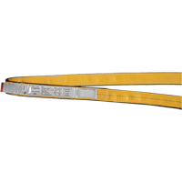 &eacute;lingues de levage en polyester, Pli Simple, Sans fin, Type 5, 1" la x 3' lo, Capacit&eacute; verticale 3200 lb Groupe Belzile Dickner