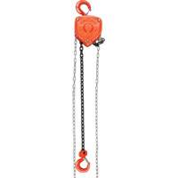 Chain Hoist, 10' Lift, 10000 lbs. (5 tons) Capacity, Alloy Steel Chain Groupe Belzile Dickner