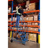 CSA-Certified Rolling Step Ladder, 5 Steps, 22" Step Width, 46" Platform Height, Steel Groupe Belzile Dickner