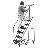 All Directional Ladders, 7 Steps, 16" Step Width, 70" Platform Height, Steel Groupe Belzile Dickner