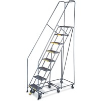 All Directional Ladders, 9 Steps, 24" Step Width, 90" Platform Height, Steel Groupe Belzile Dickner