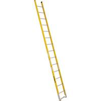 &eacute;chelle simple &agrave; une section - S&eacute;rie 6100, 14', Fibre de verre, 375 lb, CSA calibre 1AA Groupe Belzile Dickner