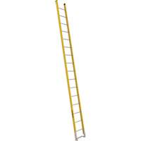 &eacute;chelle simple &agrave; une section - S&eacute;rie 6100, 16', Fibre de verre, 375 lb, CSA calibre 1AA Groupe Belzile Dickner