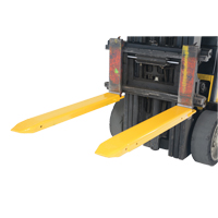 Fork Extensions, 48" L x 7-3/8" W, For Fork Width of 5" Groupe Belzile Dickner