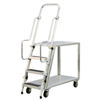 Chariot de pr&eacute;paration en aluminium avec &eacute;chelle, Aluminium, 22" la x 51-1/2" p, 2 tablettes, Capacit&eacute; 800 lb Groupe Belzile Dickner
