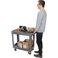 Chariot utilitaire pour l'entretien, 2 tiers, 16-1/2" x 32-1/2" x 34-1/2", Capacit&eacute; 550 lb Groupe Belzile Dickner