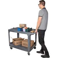Flat-Shelf Utility Service Cart, 2 Tiers, 25-1/4" x 32-1/4" x 44", 550 lbs. Capacity Groupe Belzile Dickner