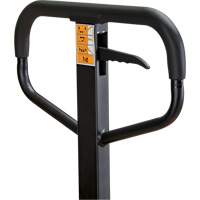 Transpalette manuel, Acier, 48" lo x 21" la, Capacit&eacute; 5500 lb Groupe Belzile Dickner