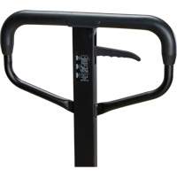 Transpalette &agrave; roues en acier, Acier, 48" lo x 27" la, Capacit&eacute; 5500 lb Groupe Belzile Dickner