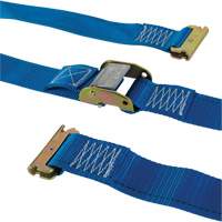 Cargo Tie Downs
