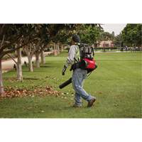 M18 FUEL Dual Battery Backpack Blower Kit, 18 V, 155 MPH Output, Battery Powered Groupe Belzile Dickner