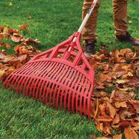 Leaf Rake, 24" Blade, Wood Handle, Plastic Blade Groupe Belzile Dickner