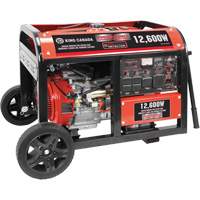 Gasoline Generator with Electric Start, 12600 W Surge, 9000 W Rated, 120 V/240 V, 31 L Tank Groupe Belzile Dickner