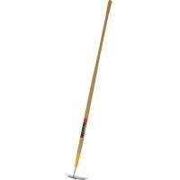 Houe &agrave; betteraves Groupe Belzile Dickner