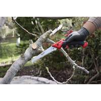 7” Folding Pruning Saw with ?Straight Blade Groupe Belzile Dickner