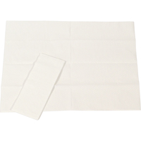 Baby Changing Stations Liners, 13-1/2" x 5-1/2" Groupe Belzile Dickner