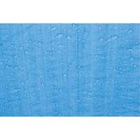 Tarp, Standard Duty, Blue, 7' x 5' x 4 mils Groupe Belzile Dickner
