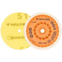 Disques de polissage instantan&eacute; Quick-Step, 5" dia. Groupe Belzile Dickner