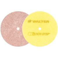 Disques de polissage instantan&eacute; Quick-Step, 5" dia. Groupe Belzile Dickner