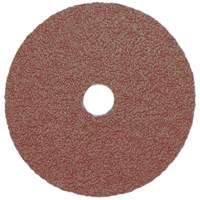 Resin Fibre Sanding Disc, Aluminum Oxide, A16, 5" Dia x 7/8" Arbor Groupe Belzile Dickner