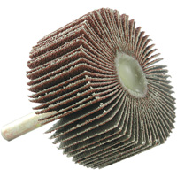 Mounted Flapwheel, 60 Grit, 2" x 1" x 1/4" Groupe Belzile Dickner