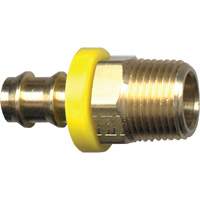 Grip-Tite Male Pipe Hose Fitting, 1/4" x 1/4" Dia, Brass Groupe Belzile Dickner