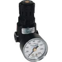 Wilkerson Miniature Regulator R04, 1/4" NPT, 300 psi Max. PSI, Standard Groupe Belzile Dickner