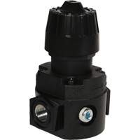Wilkerson Compact Regulator R16, 1/4" NPT, 300 psi Max. PSI, Standard Groupe Belzile Dickner