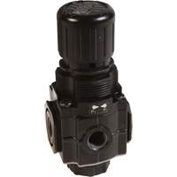 Series 1 Manifold Regulator, 1/4" NPT, 150 PSI Max. PSI, Standard Groupe Belzile Dickner
