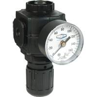 Series 1 Compact Regulator, 1/2" NPT, 150 PSI Max. PSI, Standard Groupe Belzile Dickner
