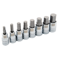 Standard SAE Socket Set, 8 Pcs Groupe Belzile Dickner