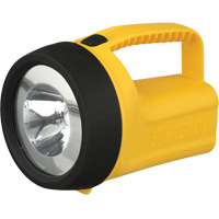 EverReady&reg; Readyflex Floating Lantern, LED, 80 Lumens, D Batteries Groupe Belzile Dickner