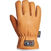 Gants Endura, Grand, Paume en Synth&eacute;tique, Doublure en Thinsulate Groupe Belzile Dickner