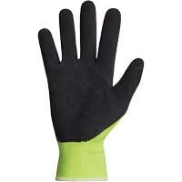 Gants enduits Dexterity, 10, R&ecirc;vetement Latex, Calibre 13, Enveloppe en Polyester Groupe Belzile Dickner
