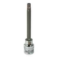 Long SAE Bit Socket, 7/32" x 3-5/8" L, 3/8" Drive Groupe Belzile Dickner