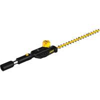t&ecirc;te de taille-haie sur perche 20 V Max* Groupe Belzile Dickner