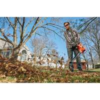 3-in-1 VacPack Leaf Blower/Vacuum/Mulcher, 250 MPH Output, Electric Groupe Belzile Dickner