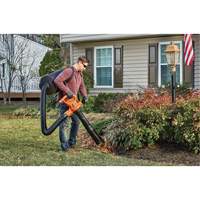 3-in-1 VacPack Leaf Blower/Vacuum/Mulcher, 250 MPH Output, Electric Groupe Belzile Dickner