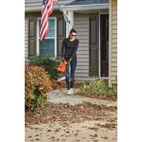 3-in-1 VacPack Leaf Blower/Vacuum/Mulcher, 250 MPH Output, Electric Groupe Belzile Dickner