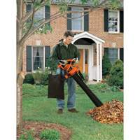 Leaf Blower/Vacuum/Mulcher, 210 MPH Output, Electric Groupe Belzile Dickner