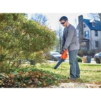 Leaf Blower, 180 MPH Output, Electric Groupe Belzile Dickner
