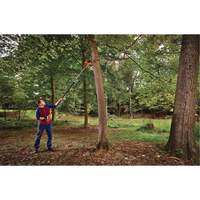 2-in-1 Pole Chainsaw Groupe Belzile Dickner